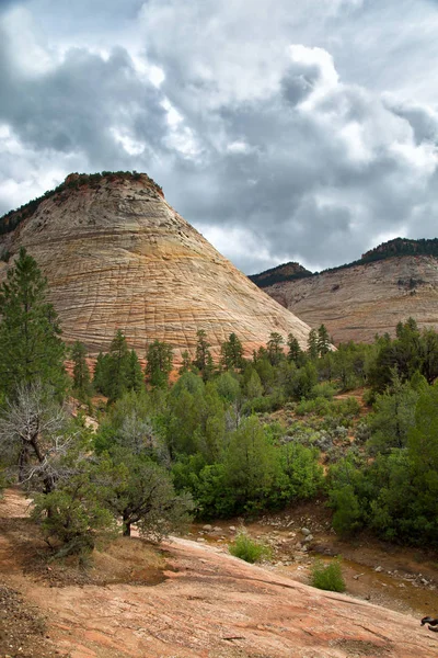 Checkerboard Mesa at Zion — Stock Photo, Image