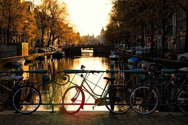Amsterdam kanal boyunca Bisiklet 