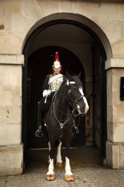 Bir kraliyet at Guard portresi