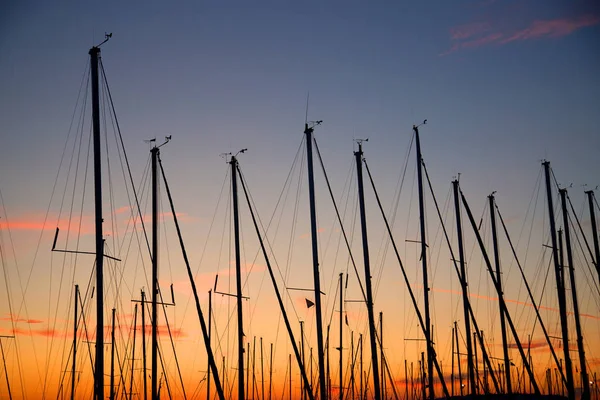 Fila de mastros durante o pôr do sol — Fotografia de Stock