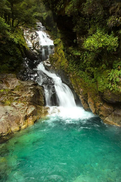 Cascata Del Torrente Falls Vicino Suono Milford Nell Isola Del — Foto Stock
