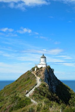 LIghthouse at point nugget in New Zealand clipart