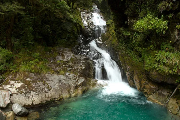 Cascate cascate torrente in Nuova Zelanda — Foto Stock