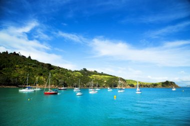 Half moon bay Waiheke Adası