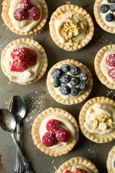 Berry pies — Stock Photo, Image