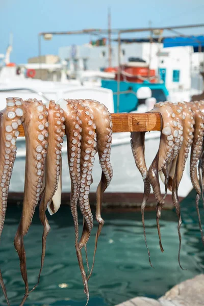 Polvo Pendurado Uma Vara Para Secar Cais Paros Grécia — Fotografia de Stock