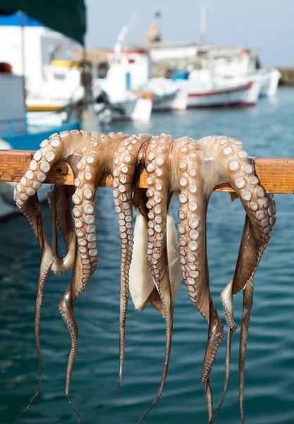 Octopus Hanging Stick Dry Quay Paros Greece — Stock Photo, Image