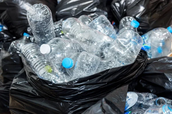 Siyah çöp torbalarındaki plastik şişeler geri dönüşüm için alınmayı bekliyor..