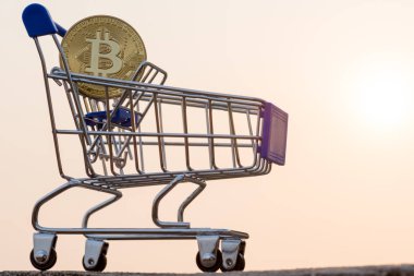 Bitcoin para madenciliğinin kapatılması İnternet Ağına bağlanıyor 