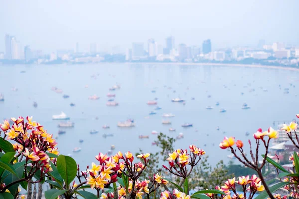 Der Schönste Aussichtspunkt Pattaya Beach Pattaya City Chonburi Thailand — Stockfoto