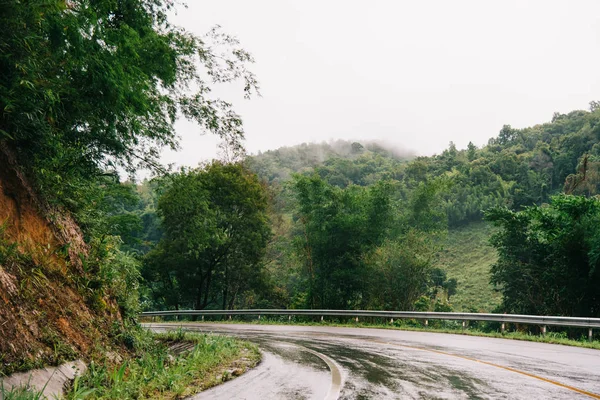 Foggy Road Forest Beautiful Nature Trail Picture Put Grain — Stock Photo, Image