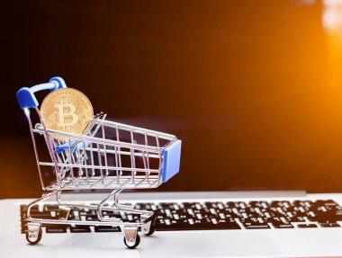 Bitcoin para madenciliğinin kapatılması İnternet Ağına bağlanıyor 