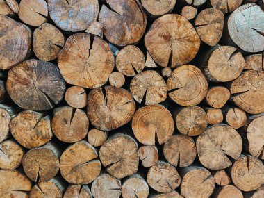 soyut ahşap vintage doku arkaplanı.