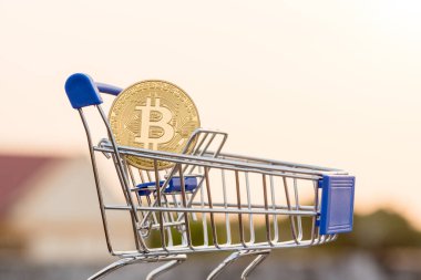 Bitcoin para madenciliğinin kapatılması İnternet Ağına bağlanıyor 