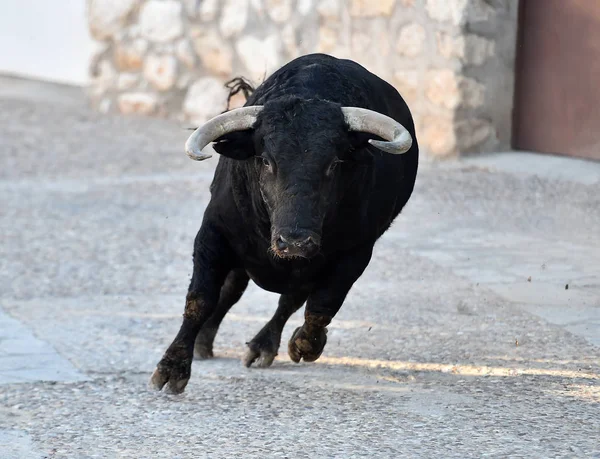 Bull Skådespel Spanien — Stockfoto