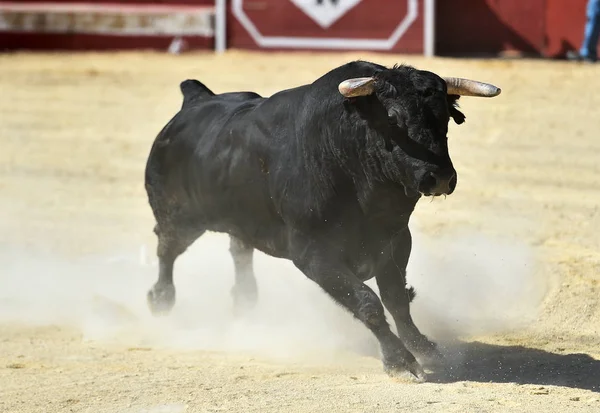 Ein Schwarzer Stier Läuft Der Spanischen Stierkampfarena — Stockfoto