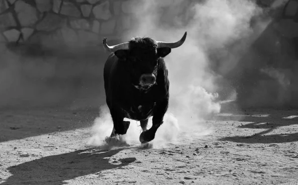 Ein Spanischer Stier Mit Großen Hörnern Läuft Auf Der Stierkampfarena — Stockfoto