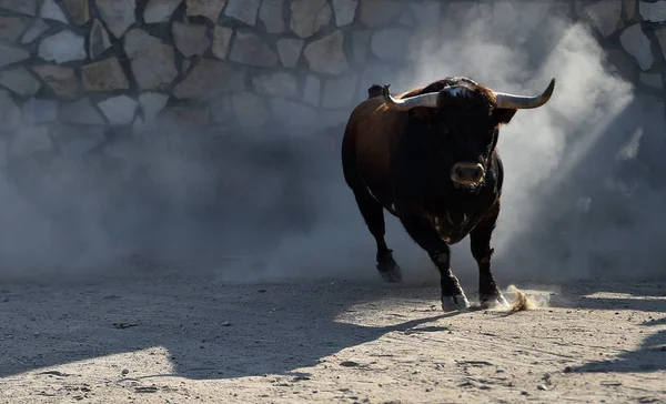 Hiszpański Byk Dużymi Rogami Biegający Arenie Byków — Zdjęcie stockowe
