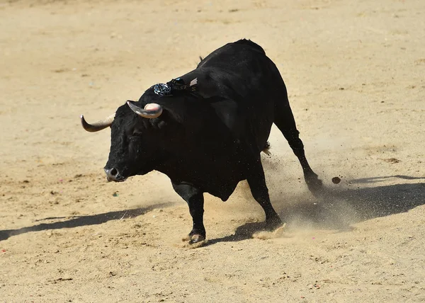 Taureau Puissant Avec Grandes Cornes Courant Dans Arène Espagnole Sur — Photo