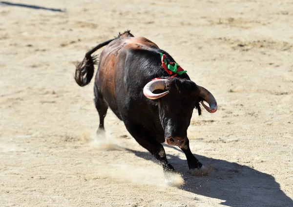 Een Woedende Stier Met Grote Hoorns Spanje — Stockfoto