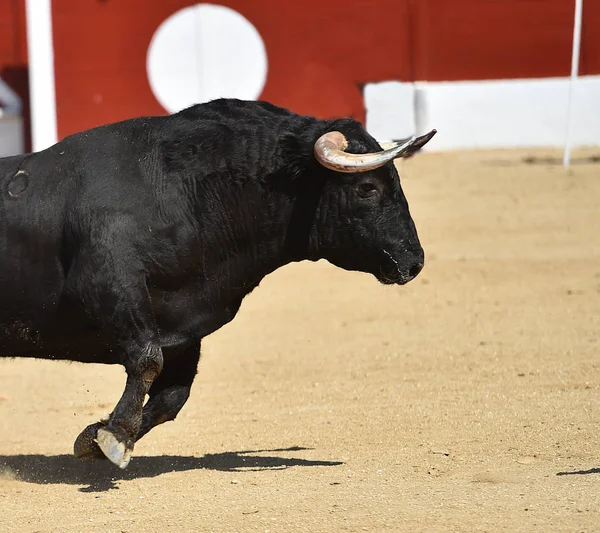 Forte Toro Nero Nel Tradizionale Spettacolo Della Corrida Sulla Spagna — Foto Stock