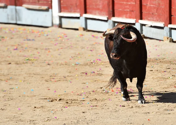 Toro Forte Con Grandi Corna — Foto Stock