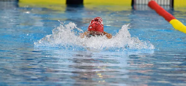 Schwimmer Einem Freibad Schwimmt Schmetterlingsstil Zieht Seinen Kopf Aus Dem — Stockfoto
