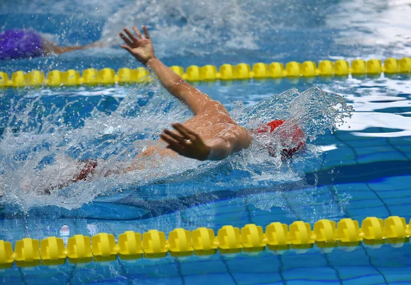 Schwimmer Einem Freibad Schwimmt Schmetterlingsstil Zieht Seinen Kopf Aus Dem — Stockfoto
