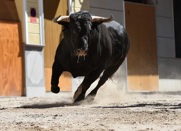 Ein Schwarzer Stier Mit Großen Hörnern Beim Traditionellen Stierkampf Spektakel — Stockfoto