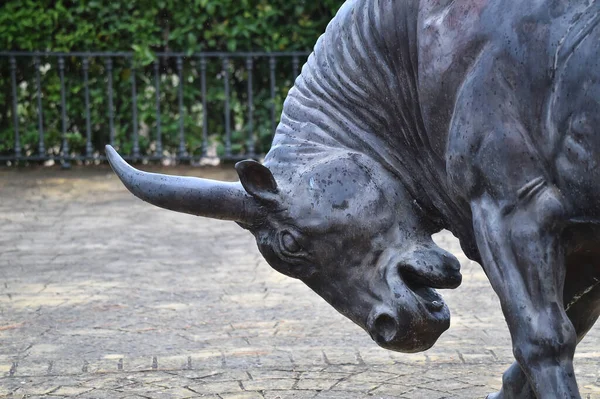 Spanischer Stier Mit Großen Hörnern — Stockfoto