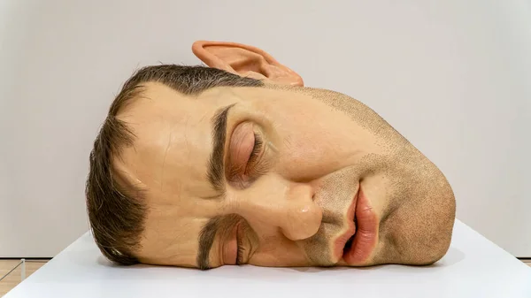 Ron Mueck 'in aşırı gerçekçi dev kafası. San Francisco Modern Sanatlar Müzesinde.