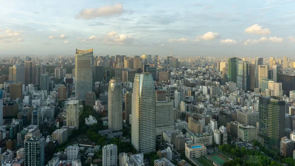 도쿄 타워 전망대에서 바라본 도쿄의 공중 풍경 — 스톡 사진