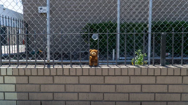 Yalnız kahverengi bir oyuncak ayı parmaklıklar arkasında