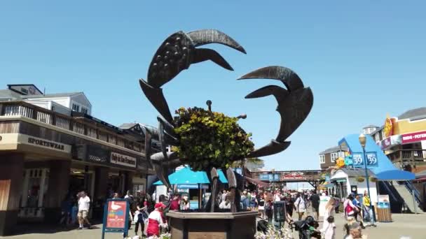 2019年8月 旧金山 渔民码头39号码头的螃蟹雕塑 — 图库视频影像
