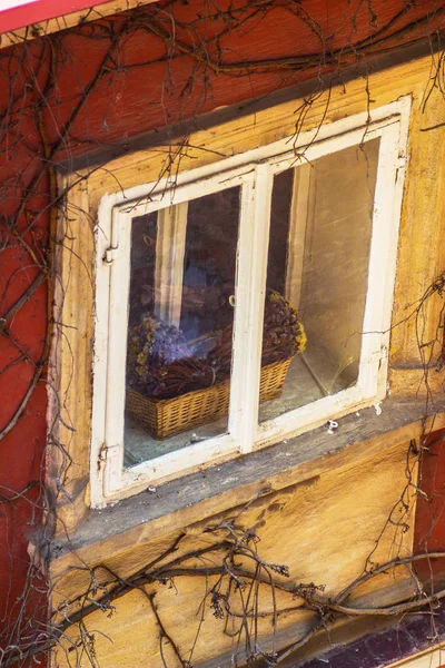 Blumenkorb am Fenster — Stockfoto