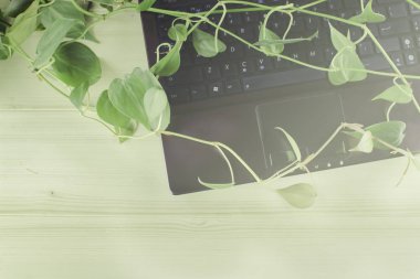 Adam hazırlanıyor suşi roll