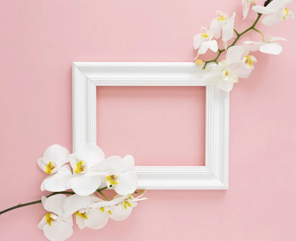 Weißer Fotorahmen Mit Weißen Orchideen Auf Rosa Hintergrund Schöne Weiße Stockbild