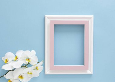 Boş çerçeve ve çiçek orkidesi, fotokopi alanı ile mavi pastel arka planda yatıyordu. Asgari konsept.