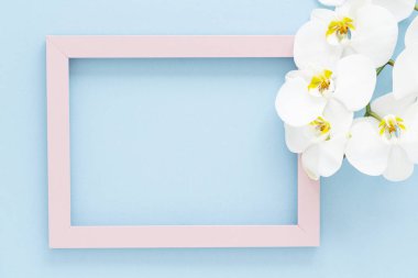 Mavi arka planda güzel beyaz orkide çiçekli pembe tahta fotoğraf çerçevesi. Düz konum, metin için boşluk. 