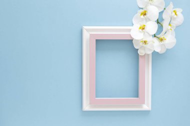 Boş çerçeve ve çiçek orkidesi, fotokopi alanı ile mavi pastel arka planda yatıyordu. Asgari konsept.