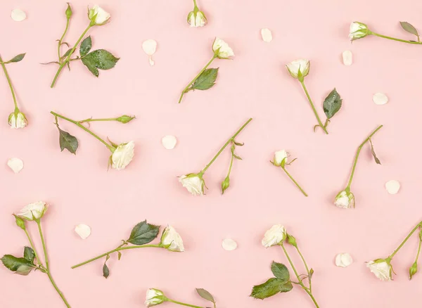 白いバラで作られた花模様 ピンクの背景に緑の葉 フラットレイアウト トップビュー バレンタインの経歴花柄 バラ模様 ロイヤリティフリーのストック写真
