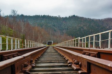 Keskin Sakhalin 'de terk edilmiş eski bir demiryolu.