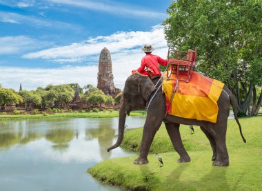 Turistler için fil binmek tur bir antik kentin eski tapınağın Wat Praram Ayutthaya içinde. Tayland seyahat kavramı
