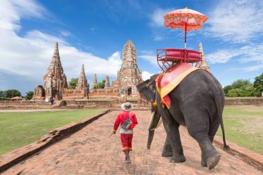 Fil turistler ve fil tur Antik şehir yürüyüş için. Tayland seyahat kavramı