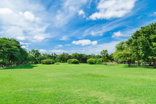 büyük kent park alanında yeşil çimen 