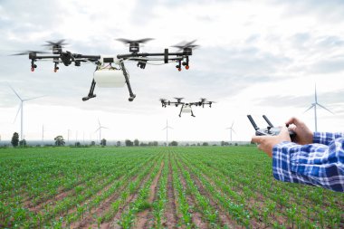 Çiftçi denetimi tarım drone fly püskürtülür gübre yeşil Mısır sahada