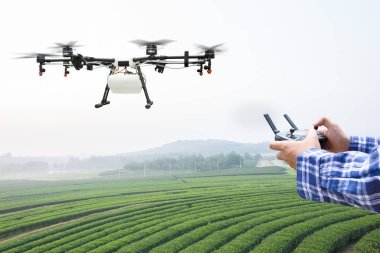 Çiftçi denetimi tarım drone fly püskürtülür gübre için yeşil çay sahada