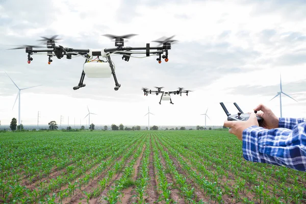 Landwirt steuert Agrar-Drohne zu versprühtem Dünger auf dem grünen Maisfeld — Stockfoto