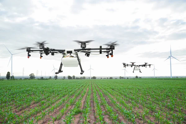 Landwirtschaftliche Drohne fliegt über das grüne Maisfeld — Stockfoto