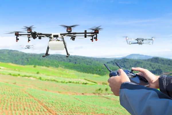 Landwirt steuert Agrar-Drohne zu versprühtem Dünger auf dem Salatfeld — Stockfoto